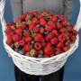 Мега корзина клубника голубика и малина фото 3
